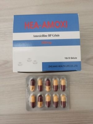 Amoxicillin Capsules 250MG 500MG BP / USP Antibiotics Medicines