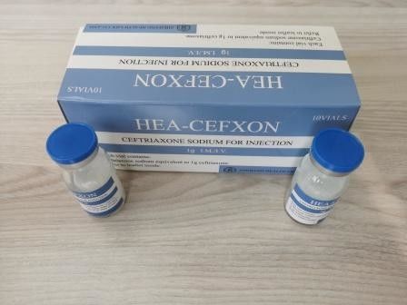 Ceftriaxone Sodium For Injection 1.0G 0.5G Antibiotic Medicines BP / USP