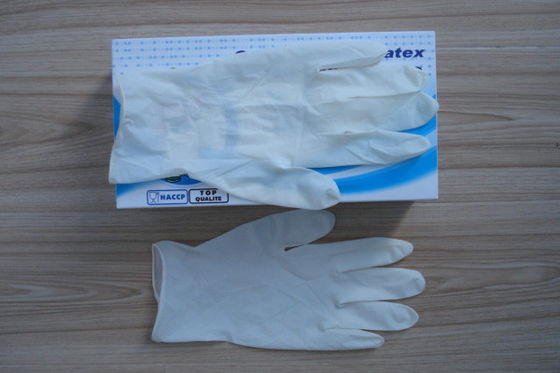 Disposable Latex Surgical Gloves , Powder and Powder Free 6.0 6.5 7.0 7.5 8.0 8.5 9.0