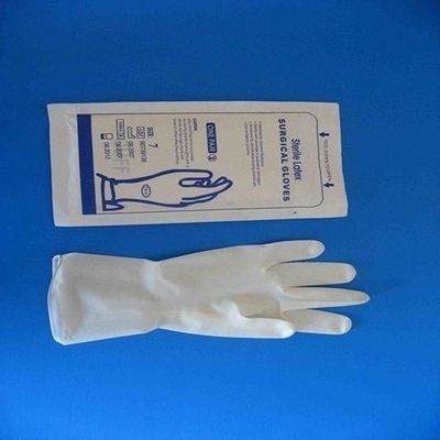 Disposable Latex Surgical Gloves , Powder and Powder Free 6.0 6.5 7.0 7.5 8.0 8.5 9.0