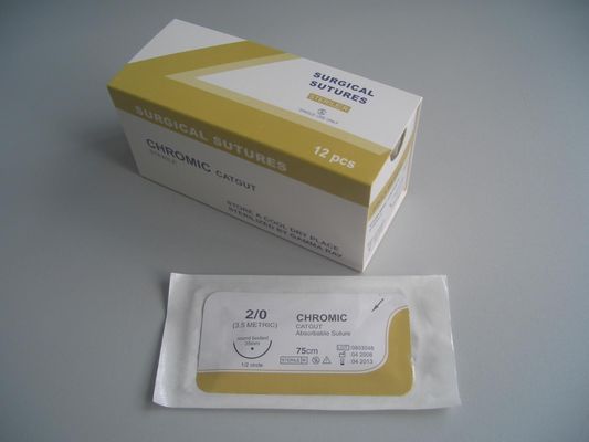 Medical Surgical Equipment Non Absorbable Sterial Chromic or Plain Catgut Surgical Suture