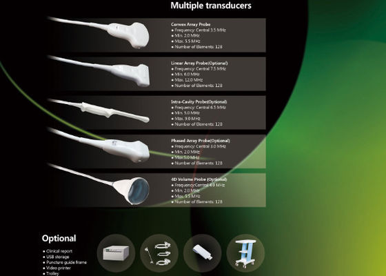 CE / ISO Color Doppler Portable Ultrasound with Printer / UPS / Probes
